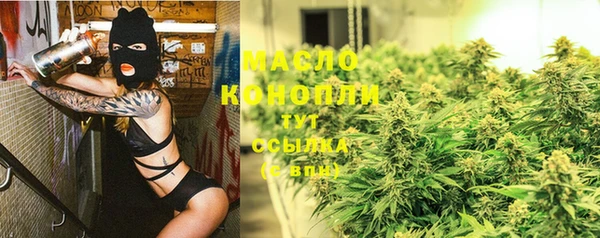 дмт Фёдоровский