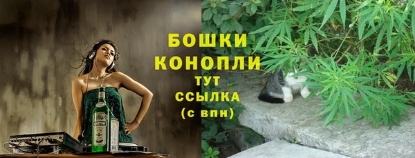 сатива Кущёвская