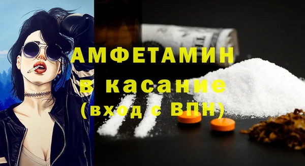 сатива Кущёвская